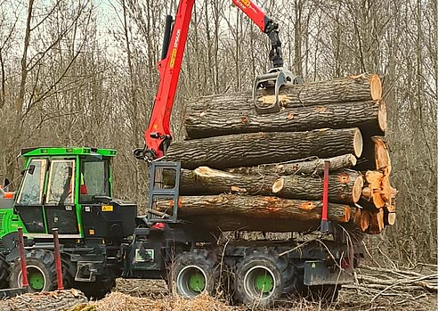 Holzrücken - Rückezug - Forstarbeiten 